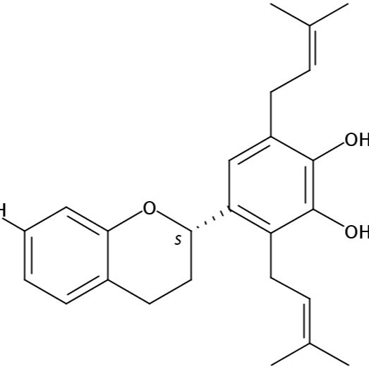 小构树醇A99624-28-9
