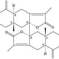 双白术内酯182426-37-5