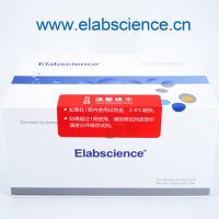 细胞外酸化率(ECAR)荧光法测试盒_货号:E-BC-F069