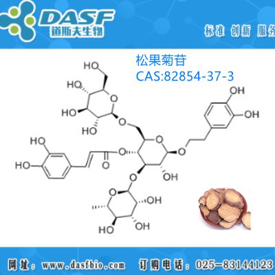 肉苁蓉提取物 松果菊苷1%-98% CAS:82854-37-3