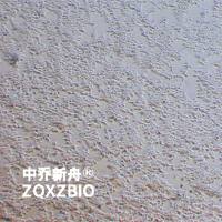 293T人胚肾细胞(STR鉴定)