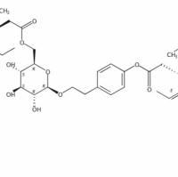 女贞苷G1360037-39-0