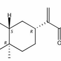 beta-木香酸3650-43-9