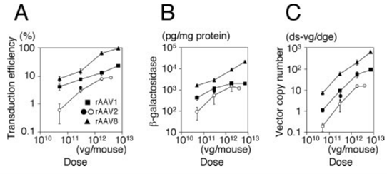 【肝脏组织干货篇】AAV肝脏组织特异性表达调控