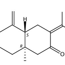 芹烷二烯酮54707-47-0
