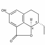 2-Hydroxyplatyphyllide72145-19-8