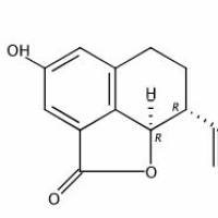 2-Hydroxyplatyphyllide72145-19-8