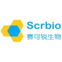 千里光碱系列产品