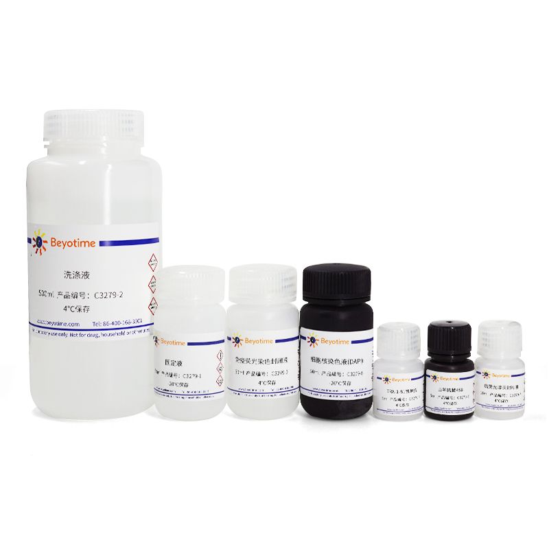 多能干细胞免疫荧光检测试剂盒(TRA-1-81, 鼠抗, 绿色荧光)