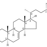 Stigmast-7-en-3-ol18525-35-4