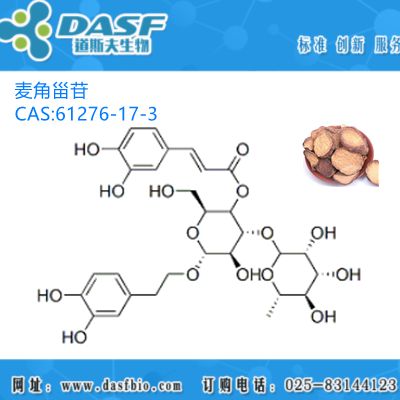 肉苁蓉提取物 麦角甾苷 毛蕊花糖苷1%-98% CAS:61276-17-3