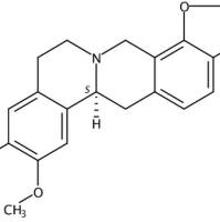 碎叶紫堇碱483-44-3
