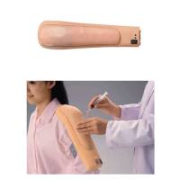艾米立 高级上臂肌肉注射模型 IMY3063