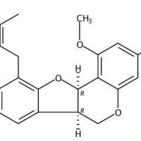 1-甲氧基菜豆素65428-13-9
