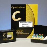 LipiBright™ 530 SMCy3.5: Fluorogenic Lipid Droplet Probe ex 530  em 558 70 nmoles  (MEMBRIGHT Family Probe)