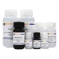 多能干细胞免疫荧光检测试剂盒(Oct4, 兔抗, 绿色荧光)