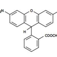 荧光素 CAS 2321-07-5