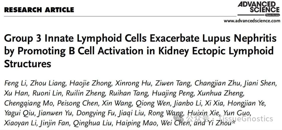 Advanced Science | Tissue Cytometry助力中山大学附属第一医院揭示ILC3s在LN中的致病作用