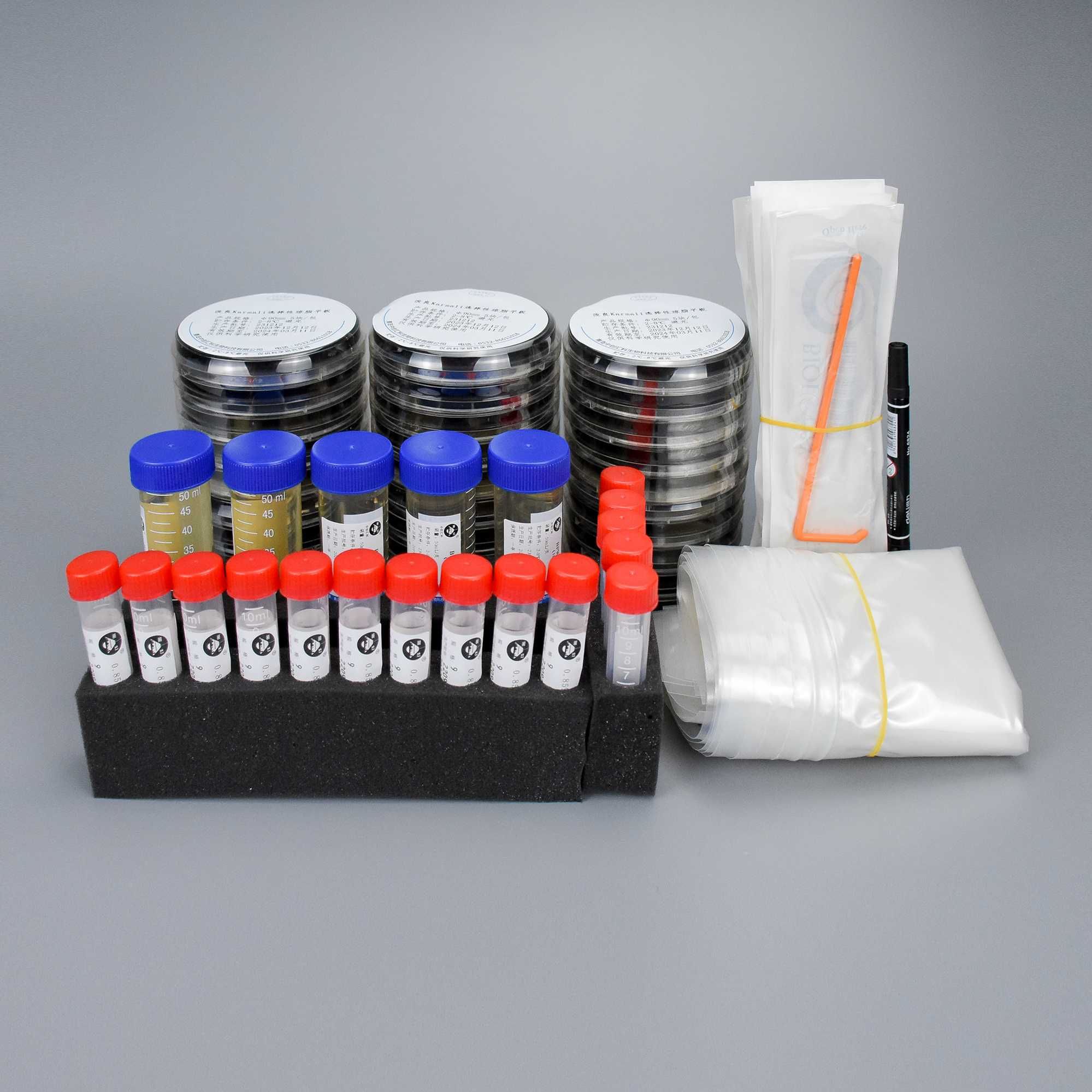 弯曲菌定量检测试剂盒