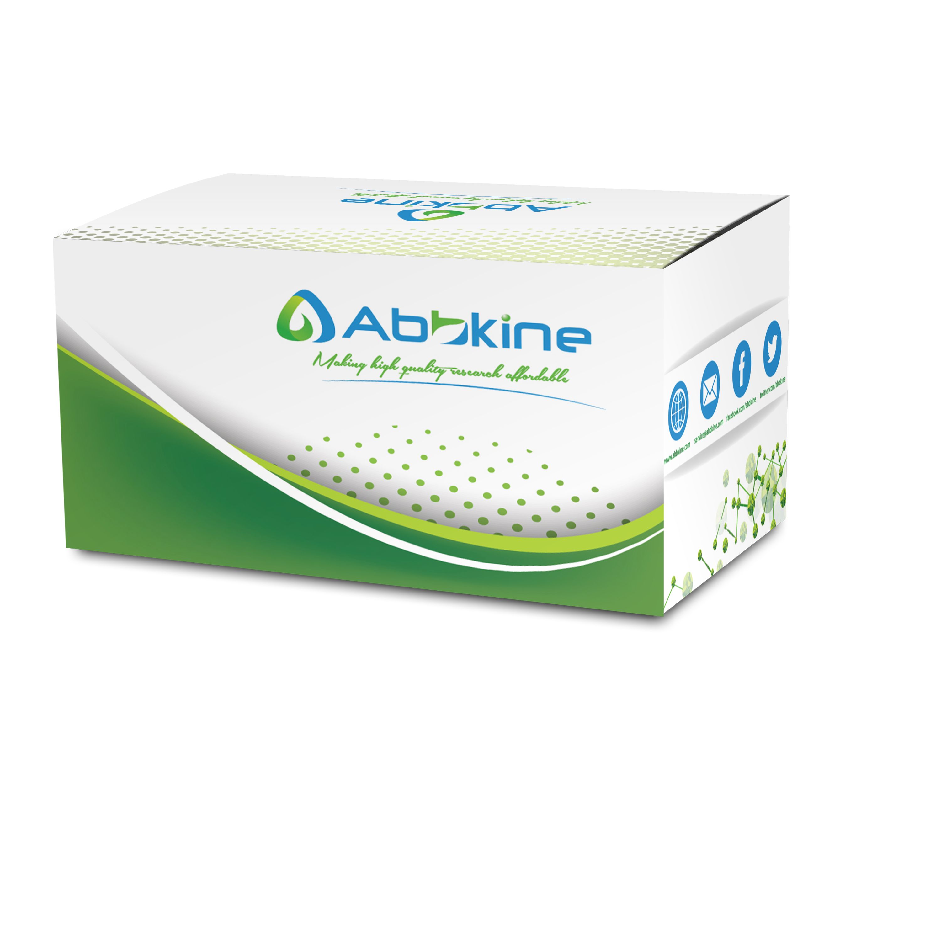 CheKine™ 肝脂酶（HL）活性检测试剂盒（微量法）