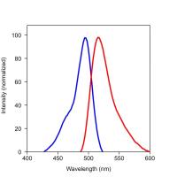 Pico Green双链荧光染料