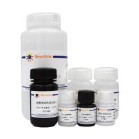 多能干细胞免疫荧光检测试剂盒(Nanog, 兔抗, 绿色荧光)