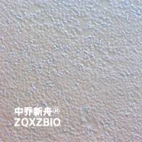 MDBK (NBL-1)牛肾细胞