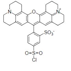 磺酰罗丹明101,钠盐 荧光参照标准 CAS 465544-24-5