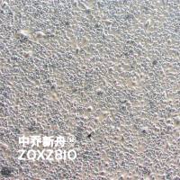 MDA-MB-436人乳腺腺癌细胞