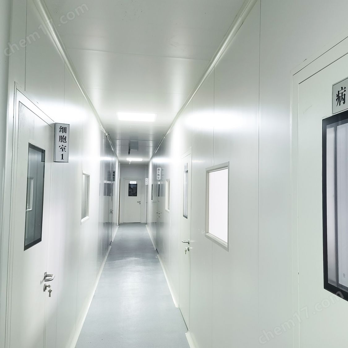 流式双标实验服务