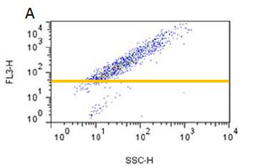 0414835200631125.jpg 0414835200631125.jpg