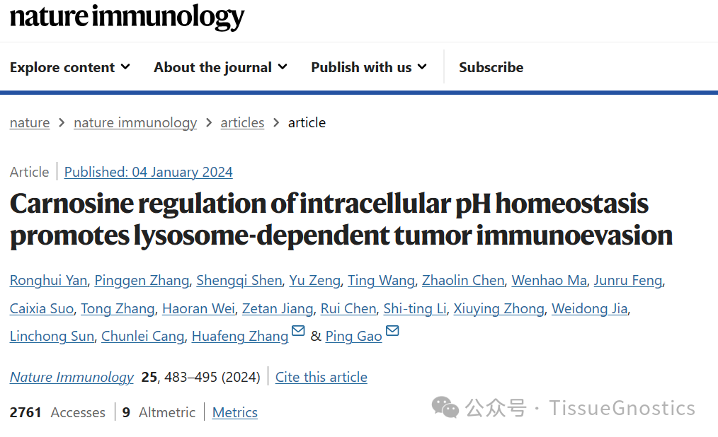 Nat Immunol| 中国科学技术大学高平、张华凤团队发现肌肽对细胞的调节促进溶酶体依赖的肿瘤免疫逃避