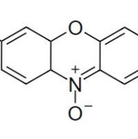 派诺宁Y CAS 92-32-0