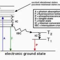 荧光量子产率测定试剂盒 适合于生物偶联基团