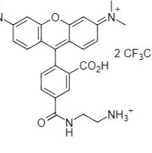5-FITC cadaverine 5-异硫氰酸荧光素尸胺