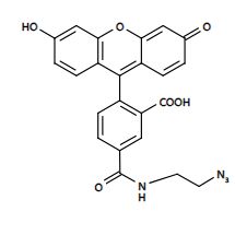 5-FAM 5-羧基荧光素叠氮化物