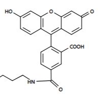 5-FAM 5-羧基荧光素炔烃