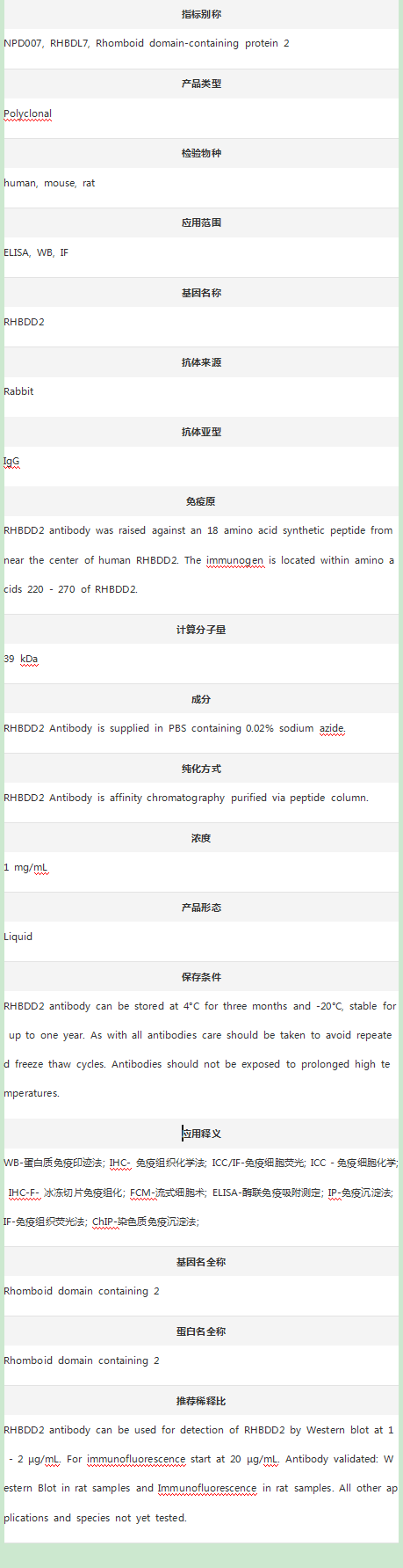 Anti-RHBDD2 Antibody