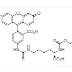 5-FAM-X, SE 5-羧基荧光素琥珀酰亚胺酯 CAS 148356-00-7