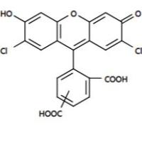 5(6)-FAM 5(6)-羧基荧光素 CAS 72088-94-9 货号102