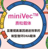 miniVec™质粒载体