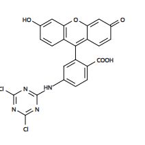 5-FAM,SE 5-羧基荧光素琥珀酰亚胺酯 CAS 92557-80-7货号113