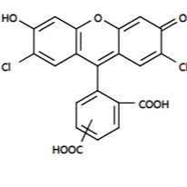 5(6)-FAM 5(6)-羧基荧光素 CAS 72088-94-9