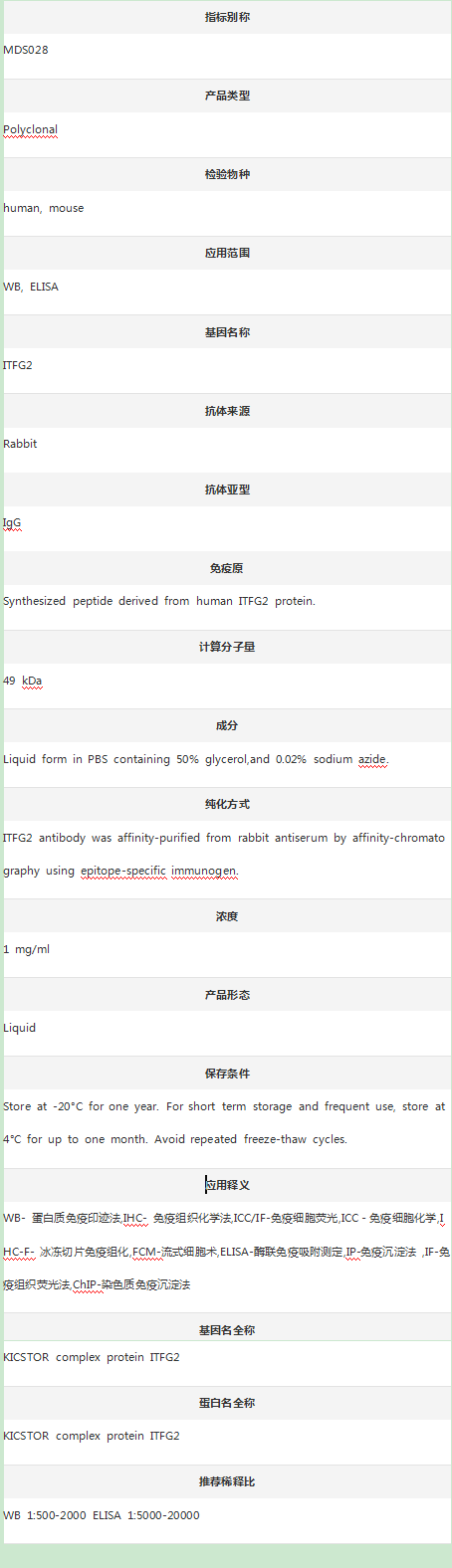 Anti-MDS028/ITFG2 Antibody