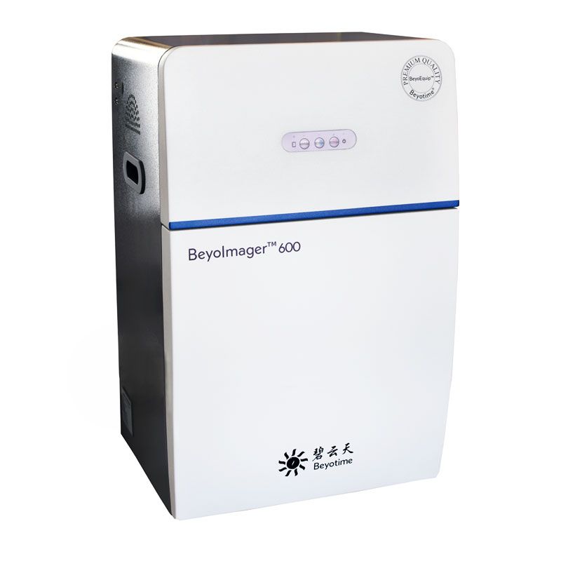 BeyoImager™ 600化学发光成像系统