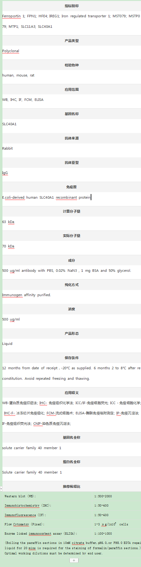 Anti-FPN1/SLC40A1 Antibody