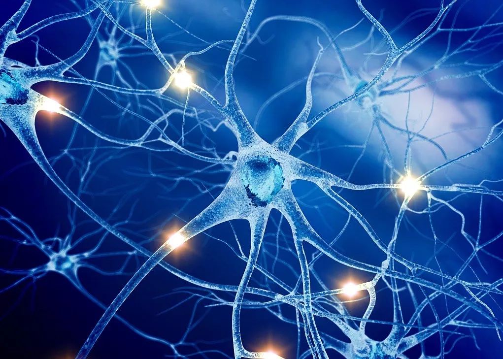 【STR鉴定】LNCap clone FGC、LNCap c