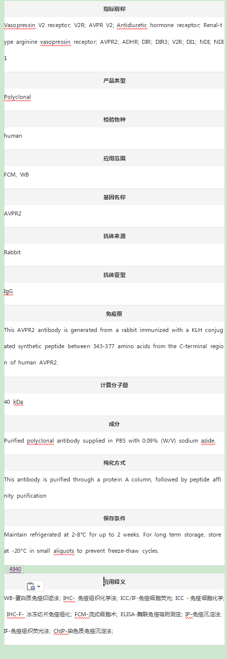 Anti-AVPR2 Antibody (C-term)