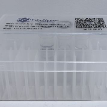 AAV，LV，ADV病毒试用装