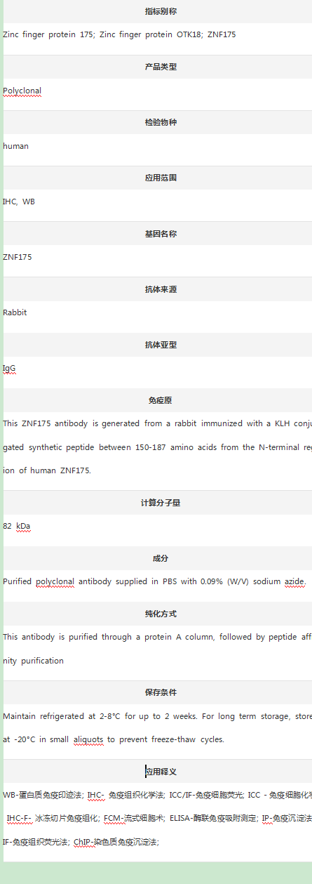 Anti-ZNF175 Antibody (N-term)